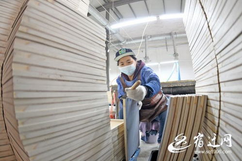 泗陽 木材加工 產業富民