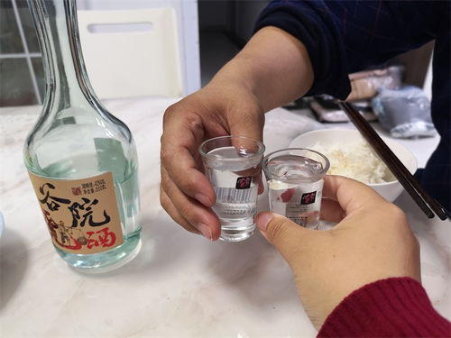 冬來天欲雪，能飲一杯無——谷小酒谷院燒酒無酒精即飲型測評